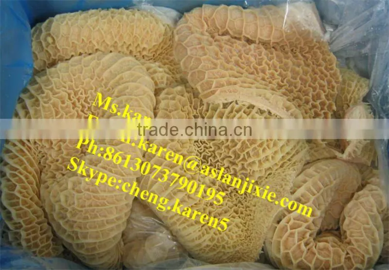 cow tripe washing machine/OX Tripe washing machine