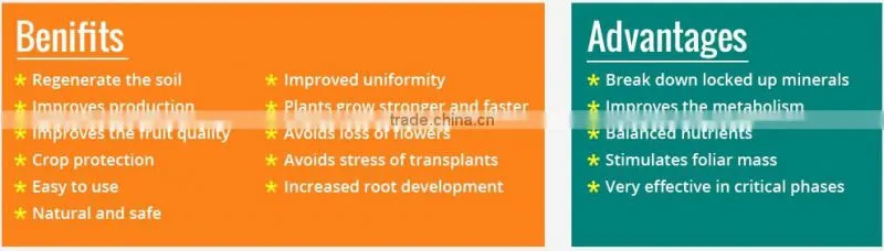 Good Quality 100% Organic Rock Phosphate Available for Plant Health
