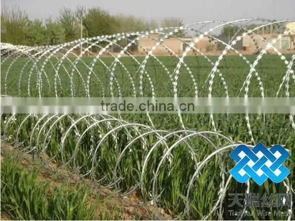 High quality galvanized razor wire with clips