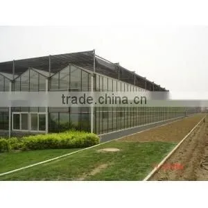 Serea hot sale agriculture glass covering greenhouse shade /green-house