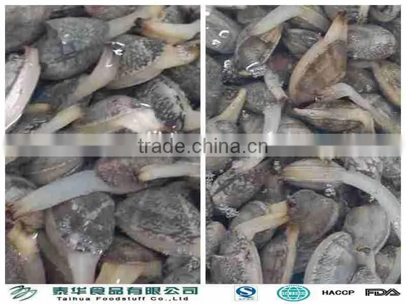 VACCUM PACKED AND BOILED BABY CLAM