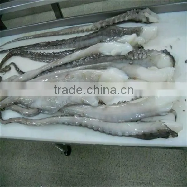 seafood and frozen cooked giant squid tentacle