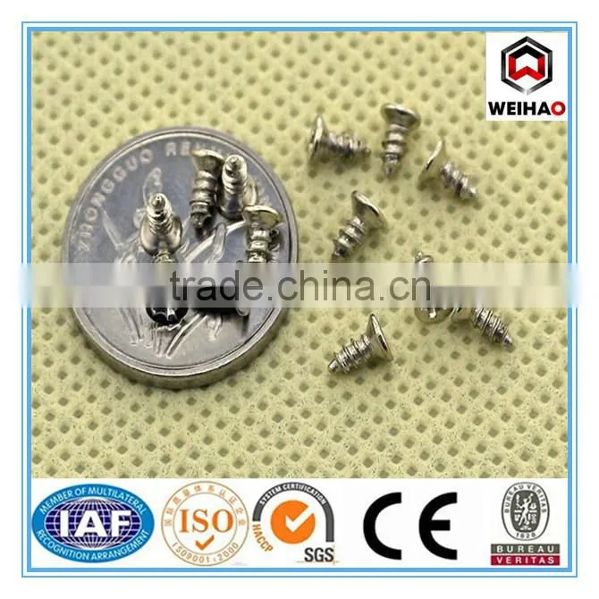 hot selling high qualiy stainless steel wood screw