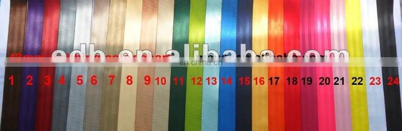 Simple luxury zebra belts