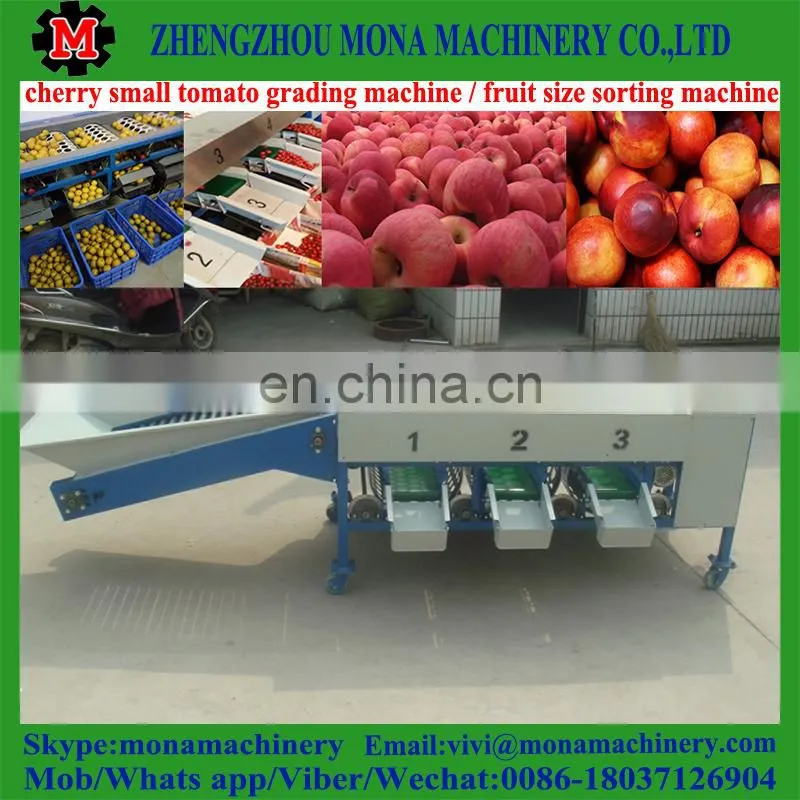 size fruit sorting machine by fruit diameter / small size high speed fruit grading machine