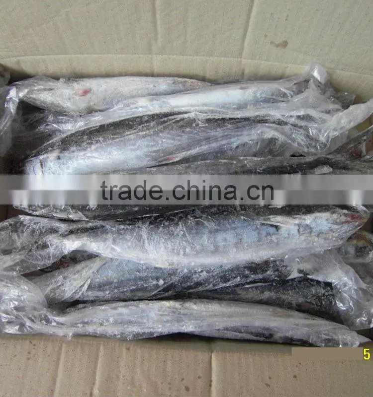 Frozen Seafood Mackerel