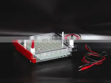 Rapid gel electrophoresis equipment