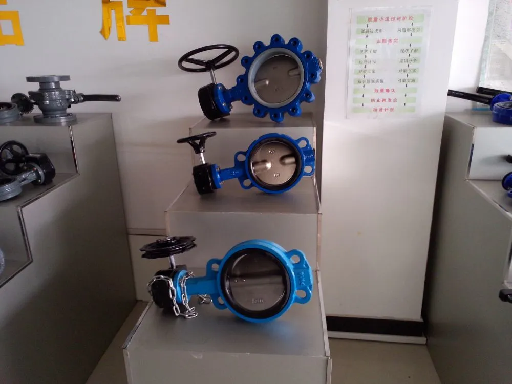 Analysis of the Elastic Structure of Butterfly Valves and Identified Issues