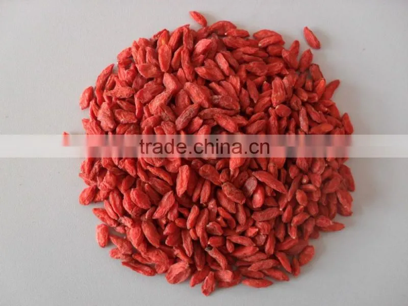 2015.2016Chinese Ningxia goji berry