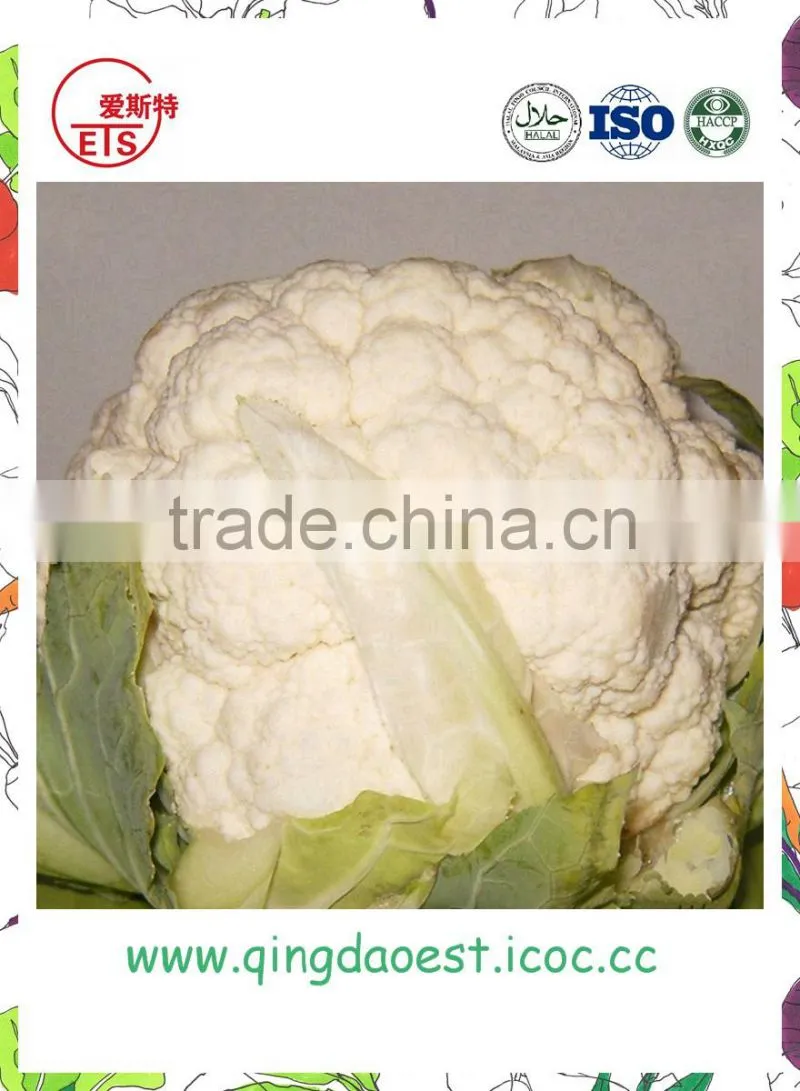 Harvest for sale in Competitive Price Chinese Fresh Cauliflowers