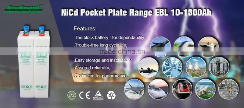 Shenzhen Hot sell EBL Vented Pocket Plate nicd battery components