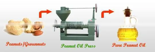 screw peanut oil press equipment