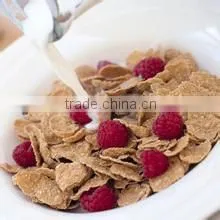 high quality low consumption factory selling delicious food with milk Breakfast Cereals Corn Flakes machine/Processing Line