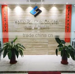 Hollee Fashional Co., Ltd. company overview - view 1