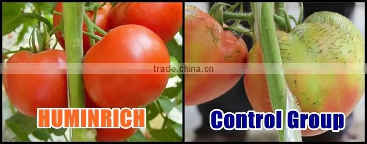 Huminrich 100% Instant Soluble Flush Foliar Spray Micronutrients In Crop Production