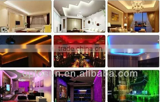 Waterproof smd5050 flexible led strip light 220V(OS-WS1210B60-H)