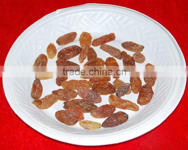 raisins producers