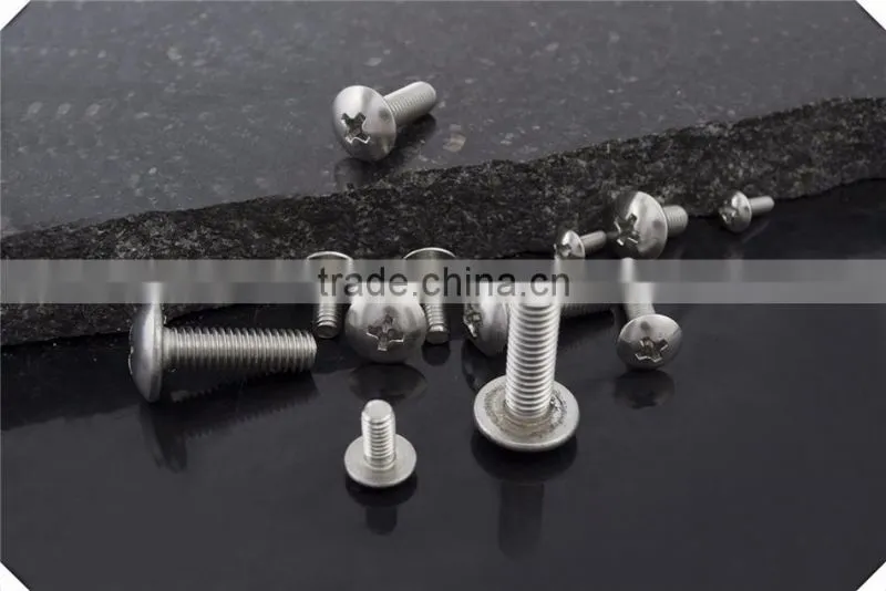 Different Sizes 304 stainless steel cross recessed truss head screw