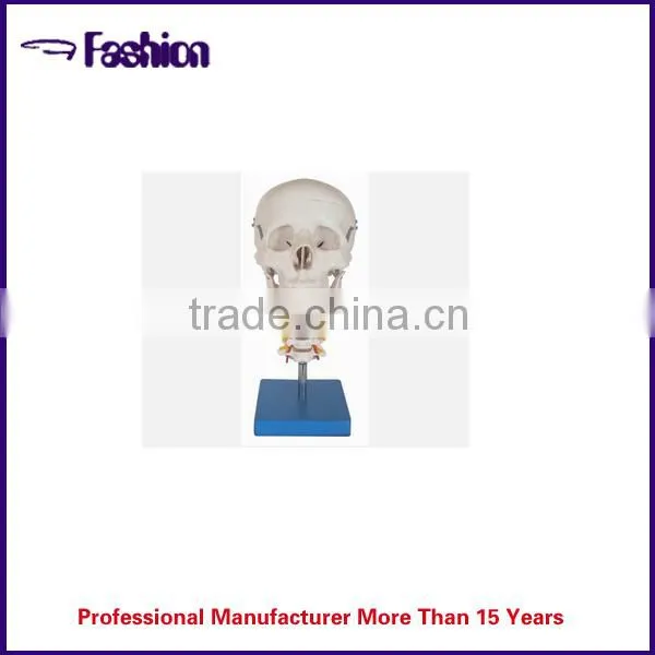 Advanced Nurse Training Doll with Blood Pressure Training Arm (male/female)