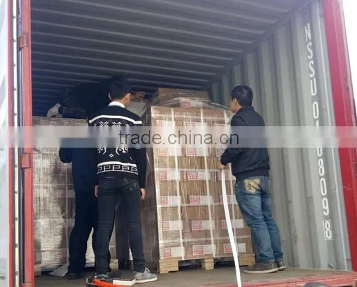 Metal Double J lashing straps hook for cargo