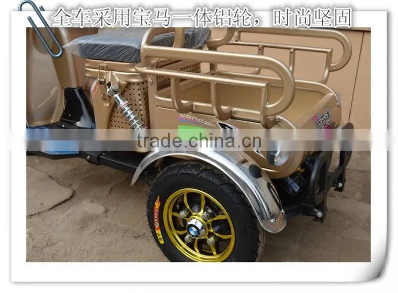 China Factory Export Three Wheel Electric Tricycle Cargo Bike 48V 500W