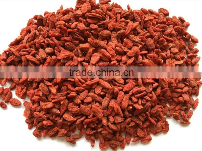 Goji berry