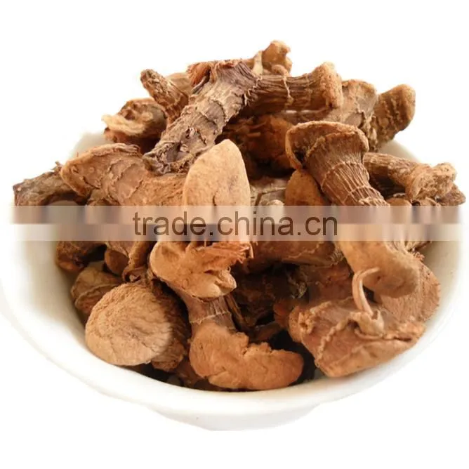Wholesale products Galangal root best selling products in america 2015