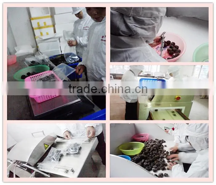 Truffles tartufi, Chinese truffle