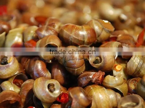 River Snail Field Snail Tail Cutter
