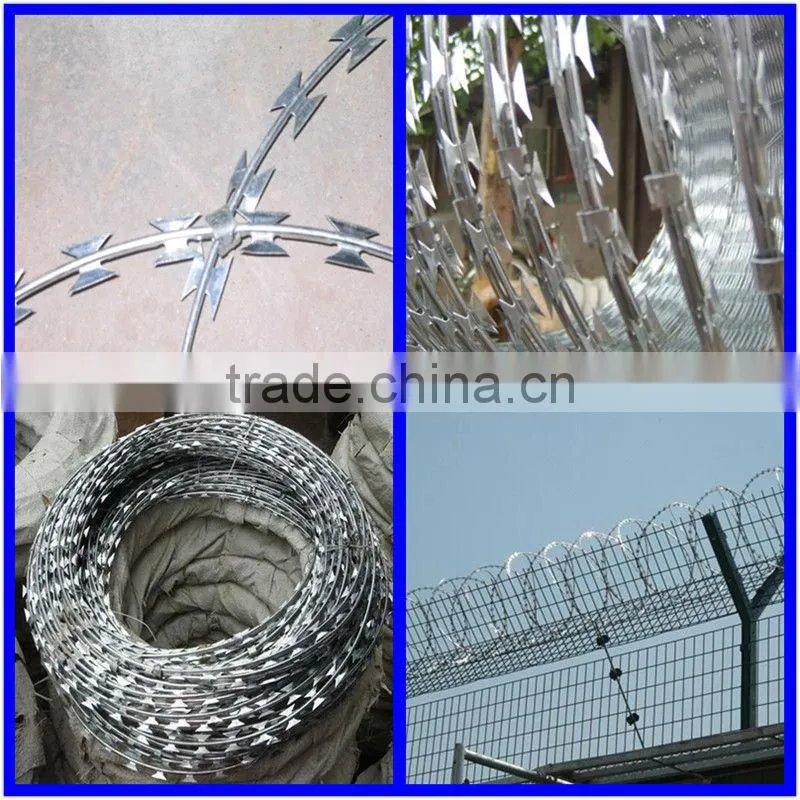 Factory Good Quality Best Price Hot Dipped Galavnized Razor Barbed Type Wire