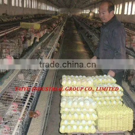 30 eggs paper pulp egg tray