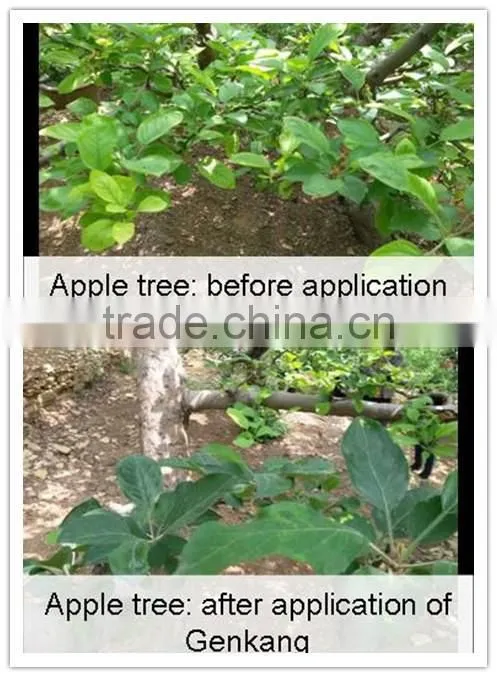 Root Growth Liquid Fertilizer