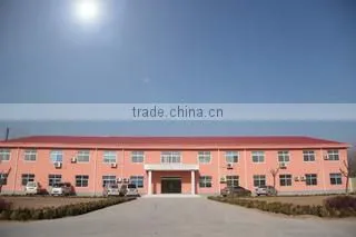 Shandong Double Crane Machinery Manufacture Co., Ltd. company overview - view 2