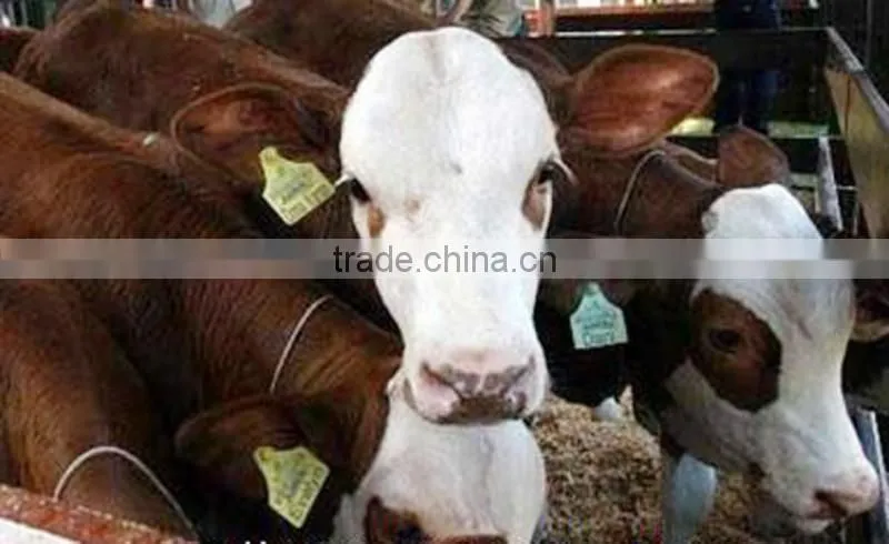 Printable UHF RFID Animal Ear Tag TPU material cattle ear tag