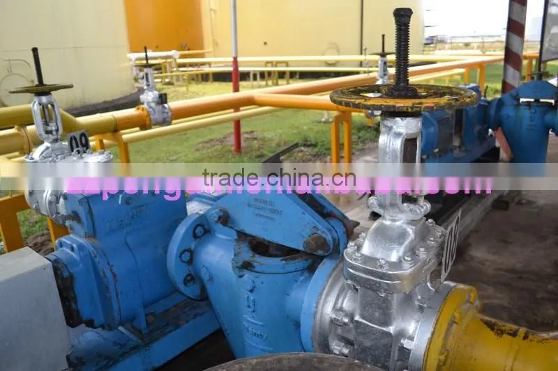 Most popular bottom price in Africa 40TPH palm oil equipment