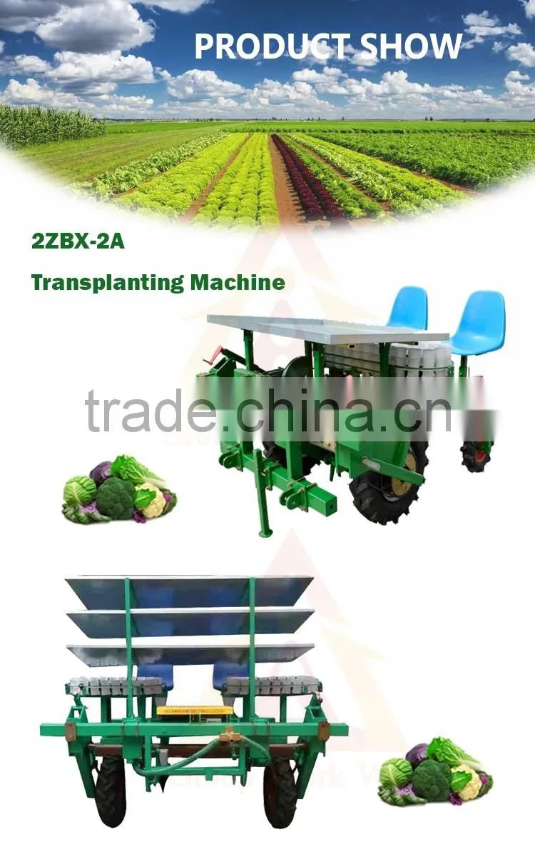 Chinese Hand push electrical vegetable seeder