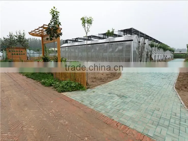 New design glass greenhouses used with high quality