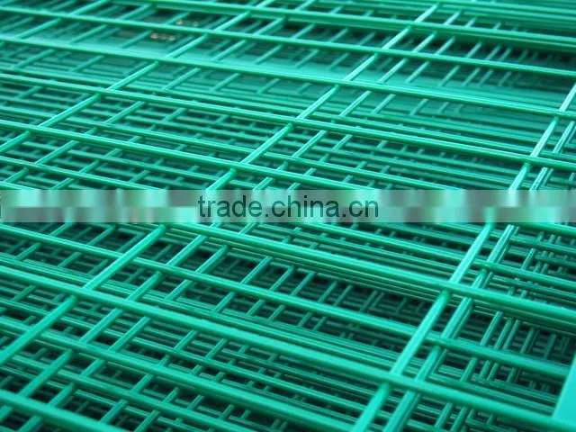 Welded Double Wire Mesh 6/5/6 25x200