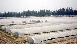 transparent agricultural PE/LDPE/LLDPE film