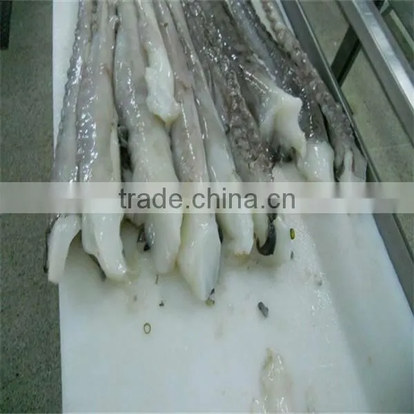 seafood and frozen cooked giant squid tentacle