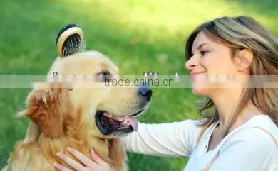 Dog slicker brush, Pet and dog brush, Dog pin brush