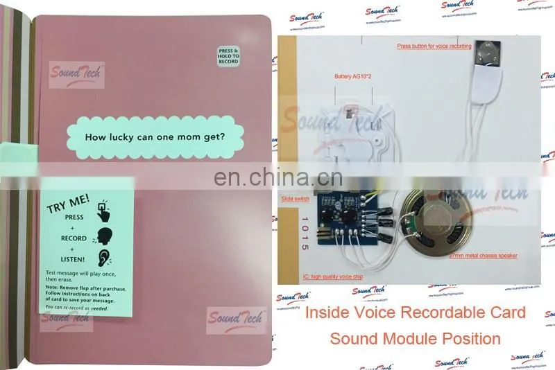 Logic IC type recordable sound chip for greeting card