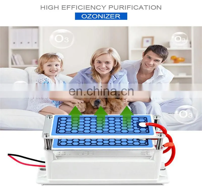 Portable Ionized Air Purifier 10g 12V Car Air Purifier Electronic air purifier industrial ozone generator