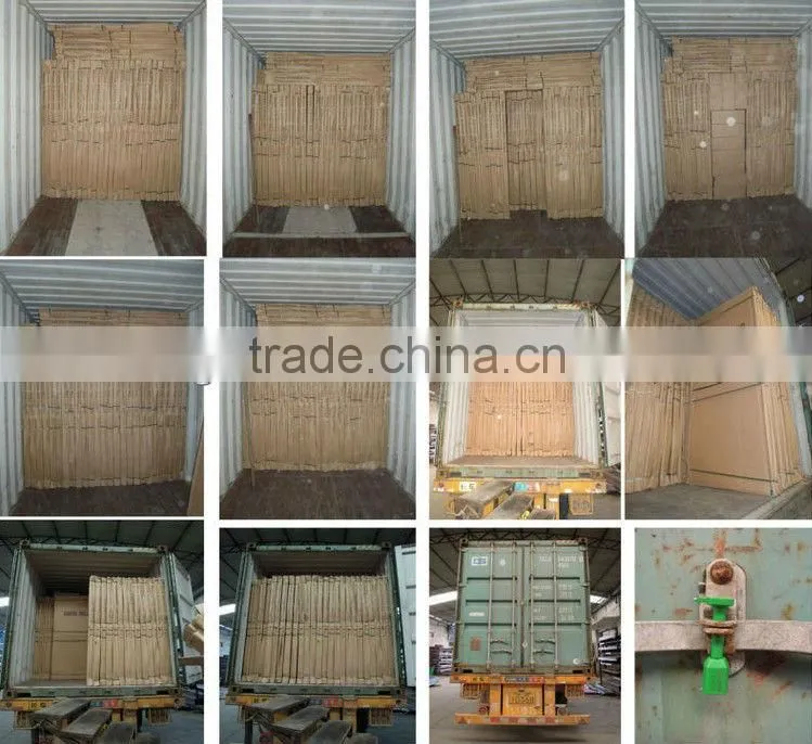 fire rated double swing doors BG-F9035