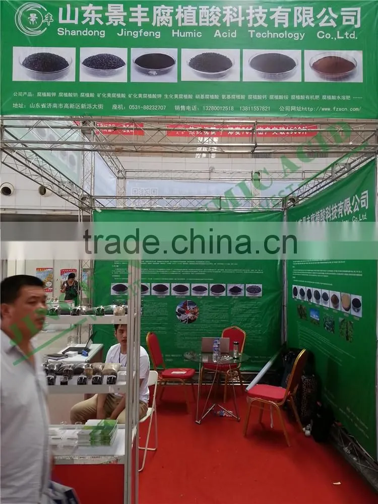 100% Water Soluble Sodium Humate Flake Powder