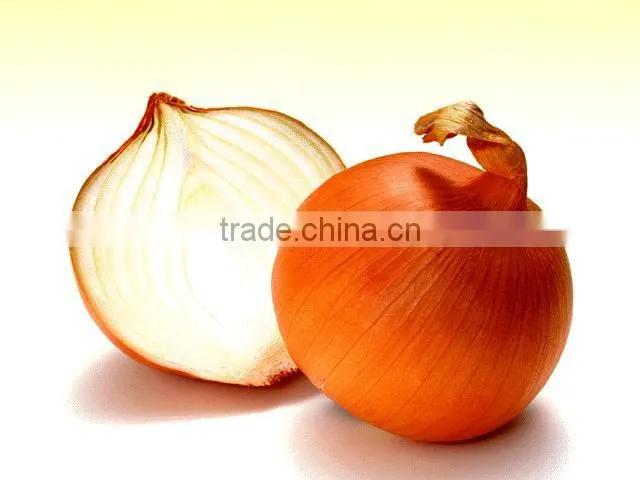 Chinese fresh red onion in mesh bag