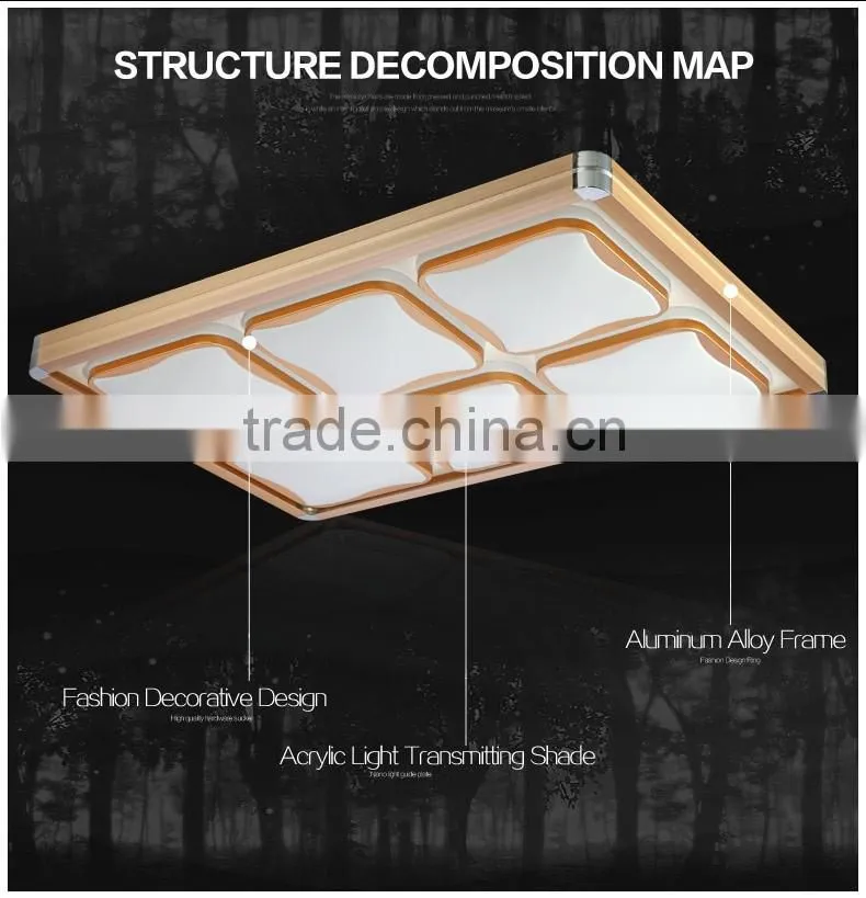 2016 new design led ceiling lamp contemporary ceiling lighting 30W