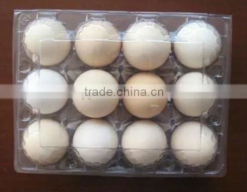 Advanced plastic vacuum forming machinery
