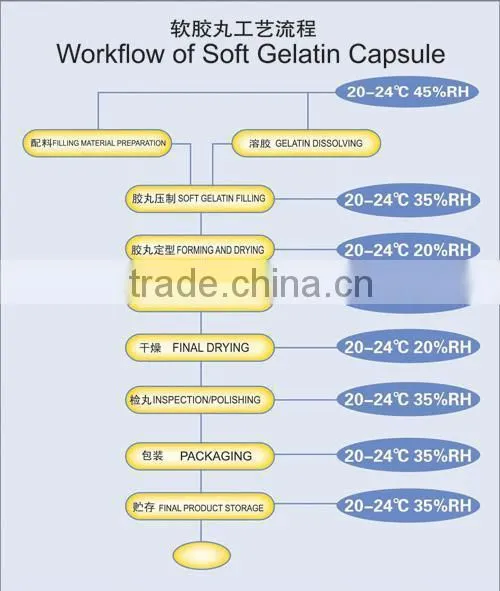 RJWJ-115B Softgel Encapsulation Machine