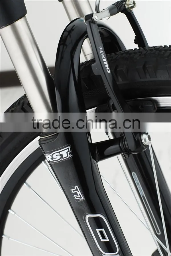 Cheap electric mountain bike for sale with full suspension fork (TDE15Z )